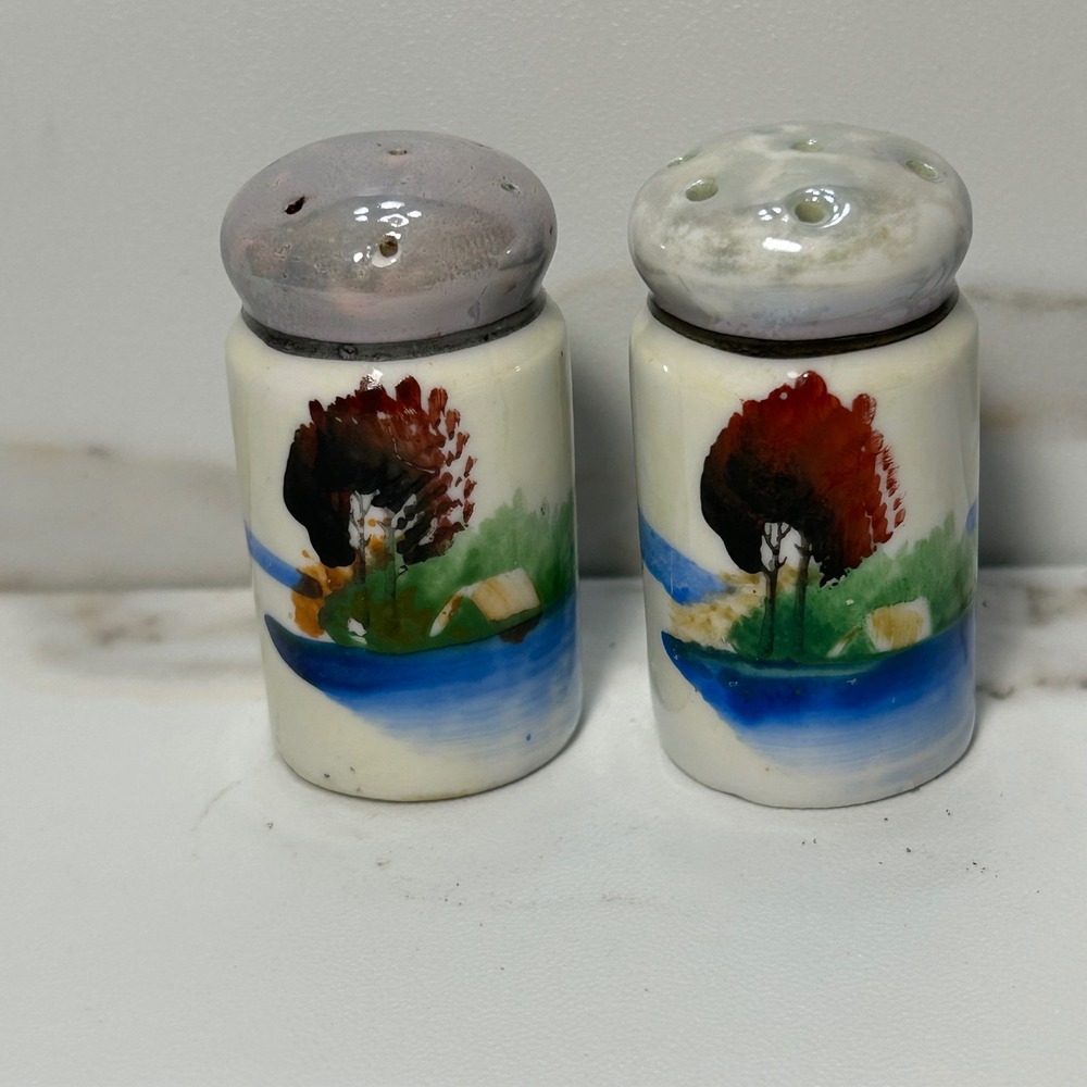 Vintage Hand Painted Porcelain Salt and Pepper Shakers Lusterware Lake Scene